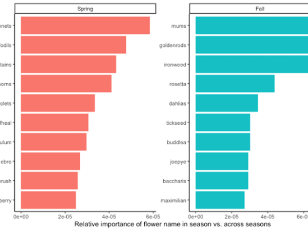 Comparing the relative importance of flower names within spring and fall.