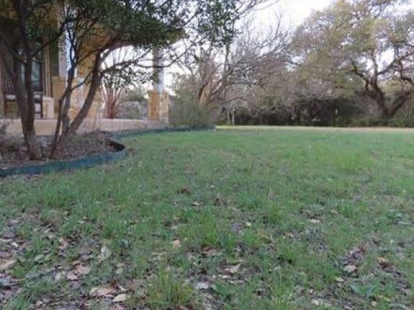 A photo in the same place as the previous photo, showing no flowers and a dry landscape