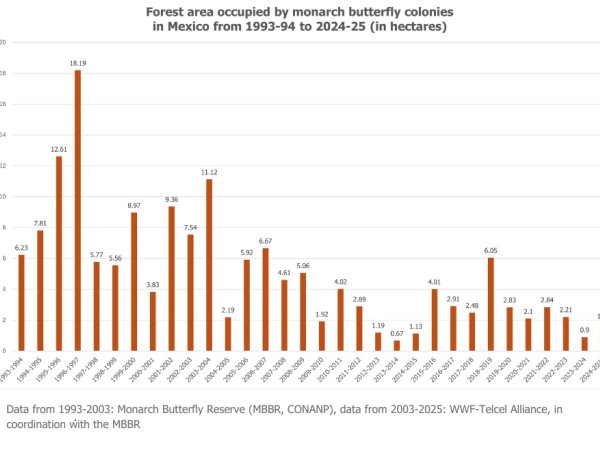 Graph showing overwintering monarchs in Mexico by year from 1993 to 2024
