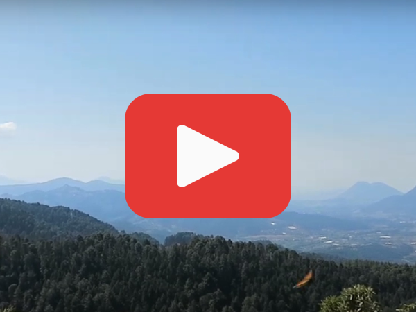 A red play button over a photo from Sierra Chincua Sanctuary