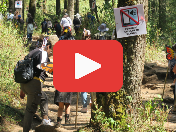 A red play button over a photo of people in the Monarch Butterfly Biosphere Reserve