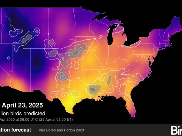 BirdCast migration map for April 23, 2025
