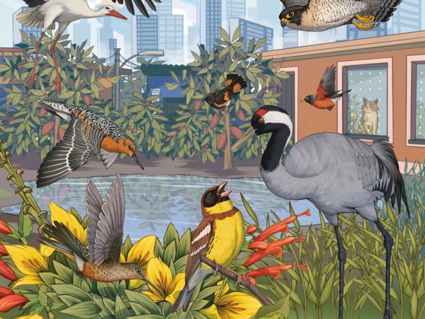 A poster for World Migratory Bird Day with the tagline "Shared Spaces"