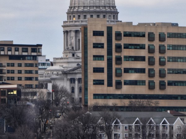 A common loon in front of the Wisconsin State Capitol in Madison, WI